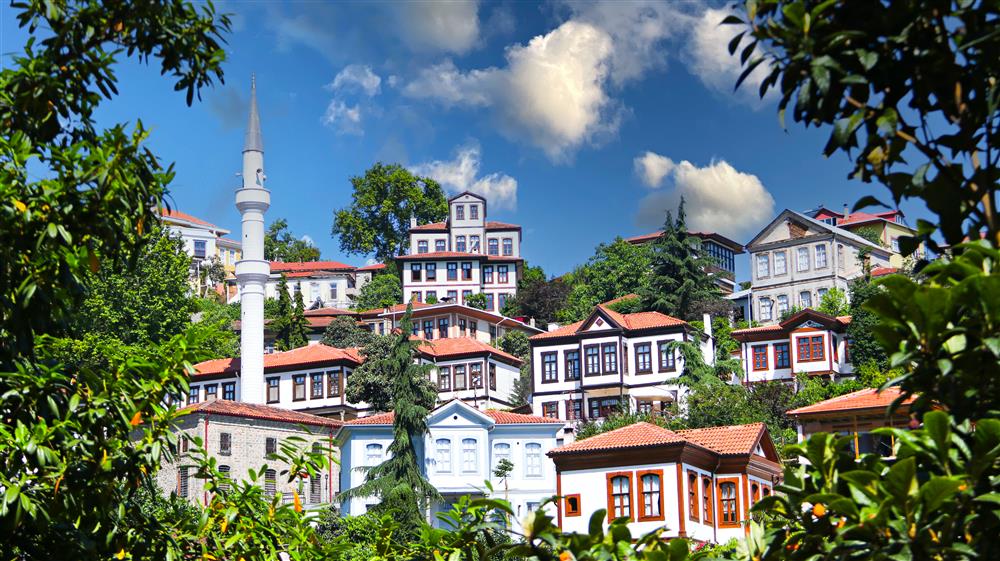 Trabzon Araç Kiralama
